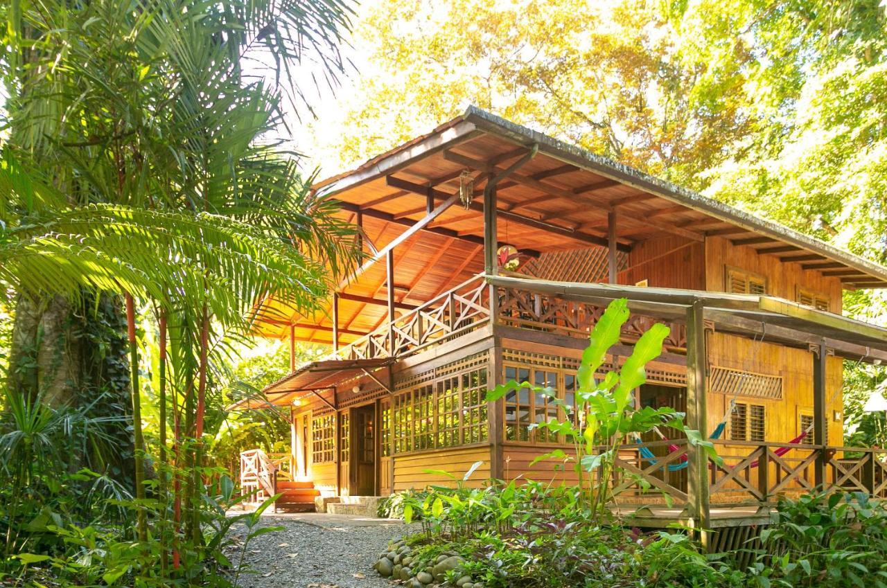 La Kukula Lodge Puerto Viejo de Talamanca 外观 照片