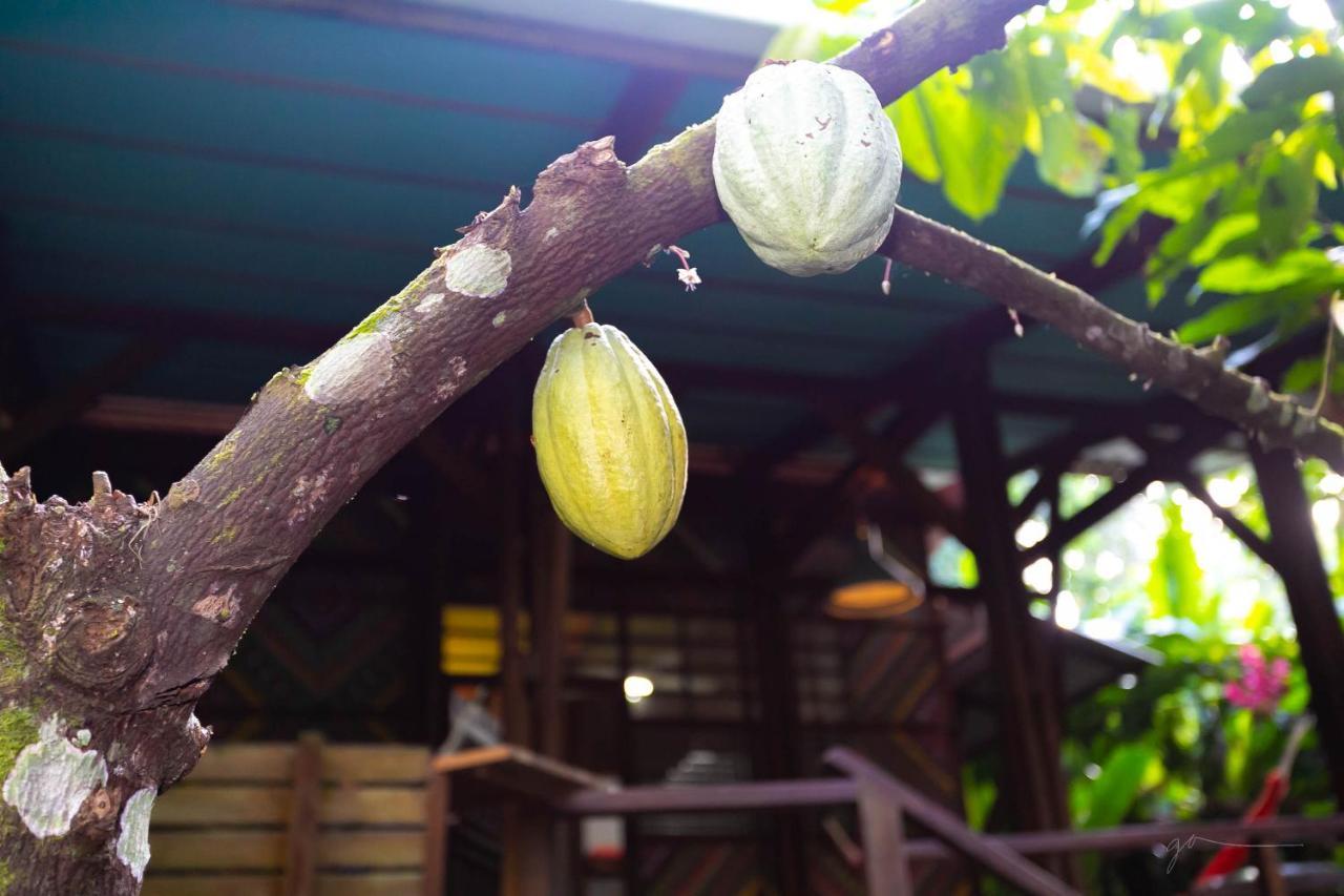 La Kukula Lodge Puerto Viejo de Talamanca 外观 照片